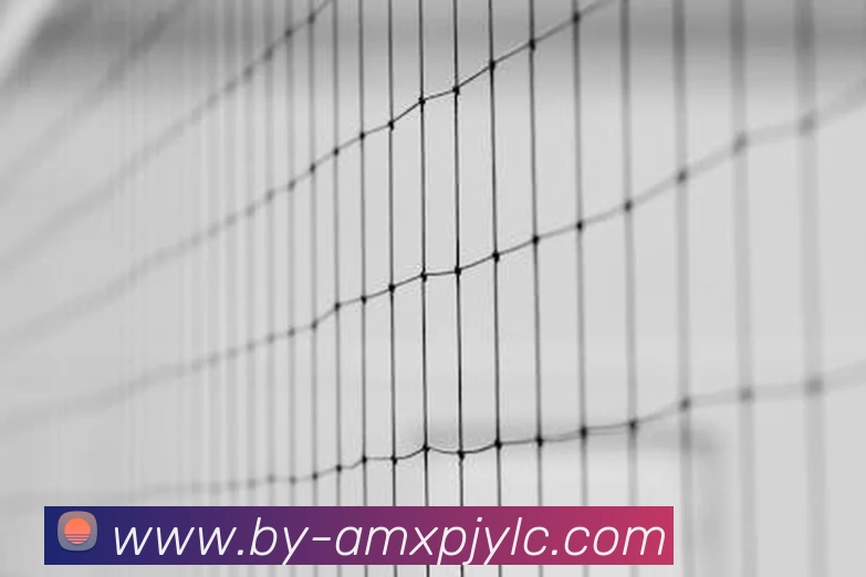 新葡京娱乐APP 体育赛事宣传图